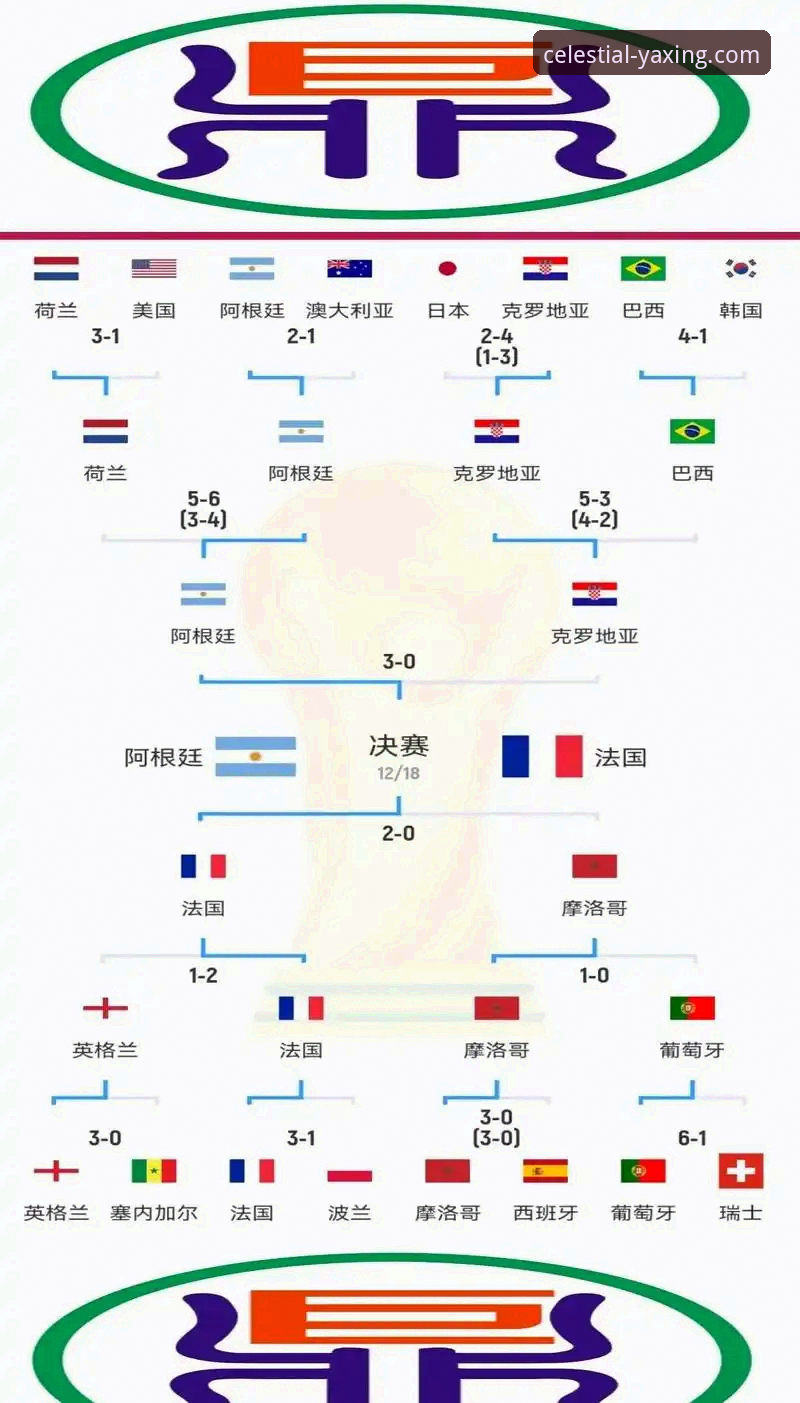 阿根廷新星重伤无缘世界杯：对卫冕之路与战术体系的深度解析